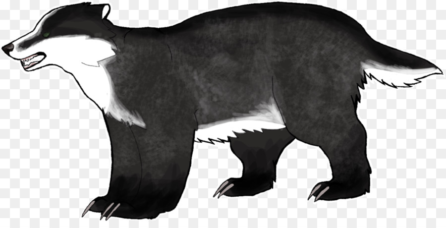 Chat，Loup Gris PNG