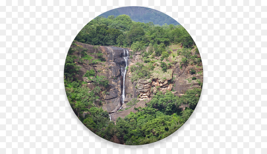 Réserve Naturelle Du Mont Nimba，La Réserve Naturelle De PNG