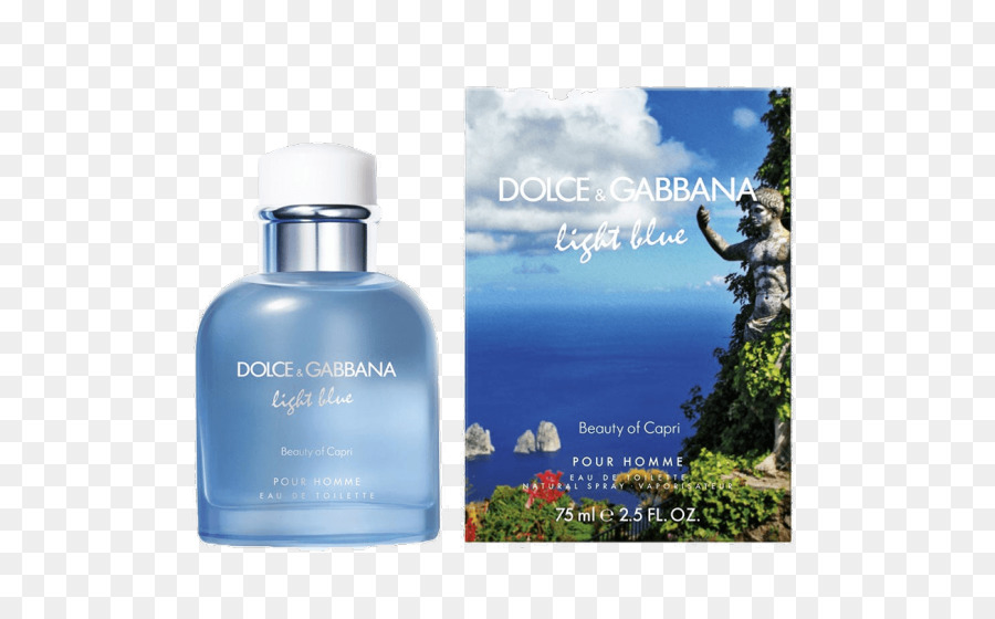 La Lumière Bleue，Dolce Gabbana PNG