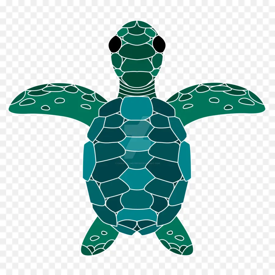 Tortue De Mer，Tortue PNG