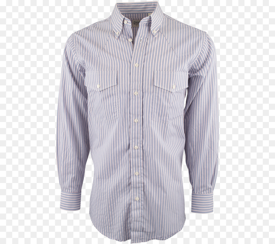 Chemise，Chemisier PNG