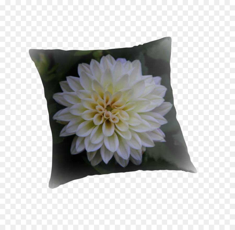 Lancer Des Oreillers，Coussin PNG