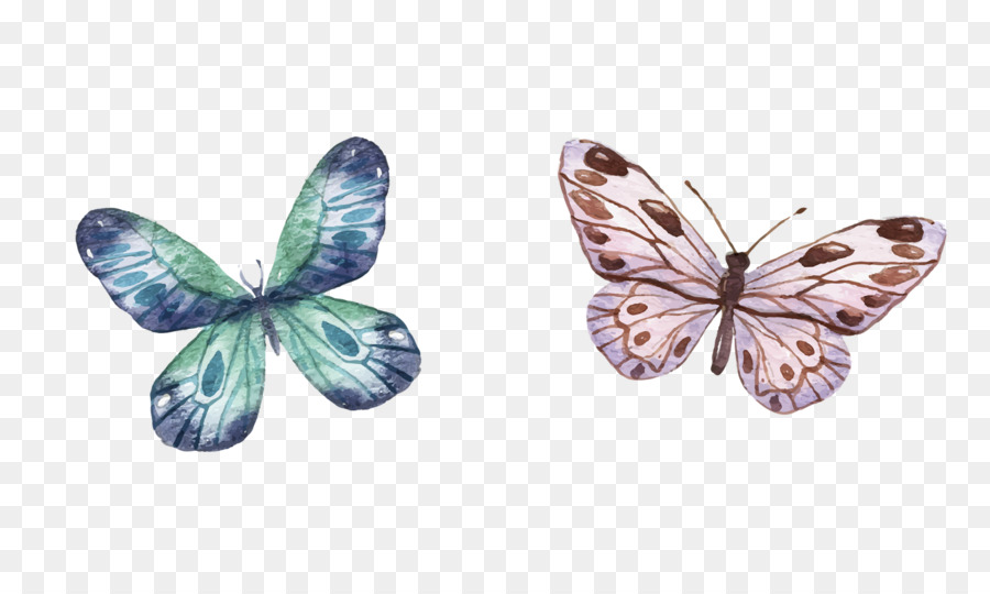 Papillons，Ailes PNG