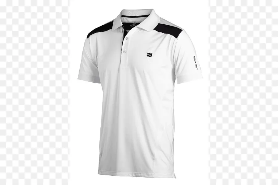 Chemise Polo，Chemise PNG