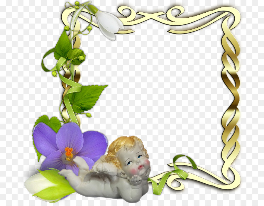 Cadre Décoratif，Fleurs PNG