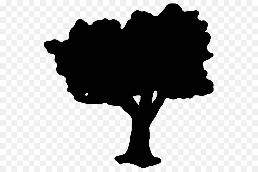 Silhouette D'arbre，Ombre PNG