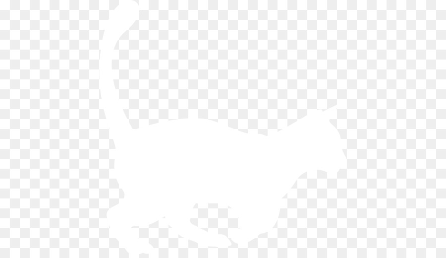 Chaton，Moustaches PNG