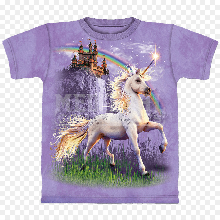 Tshirt，Licorne PNG