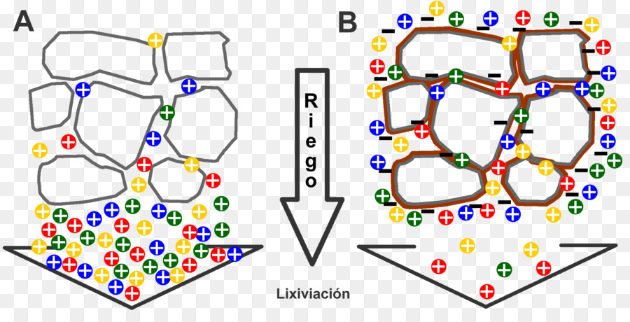 Lixiviation，Nutritif PNG