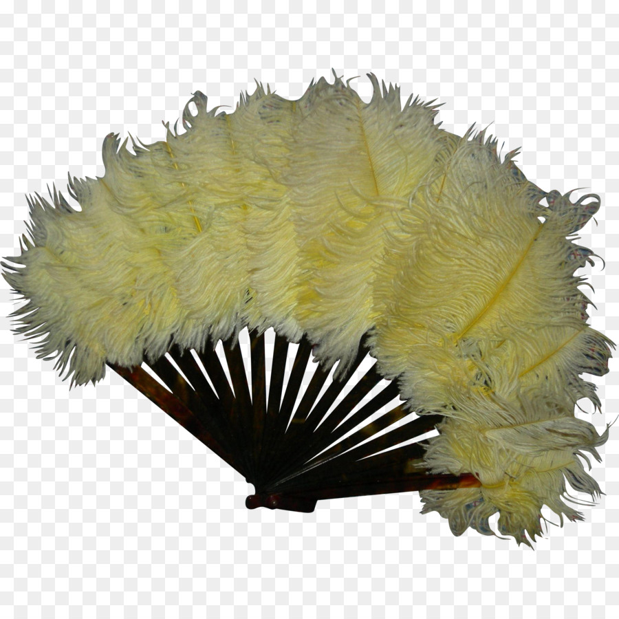 Plume，Décoratif Fan PNG