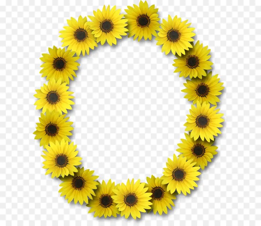 Couronne De Tournesol，Fleurs PNG