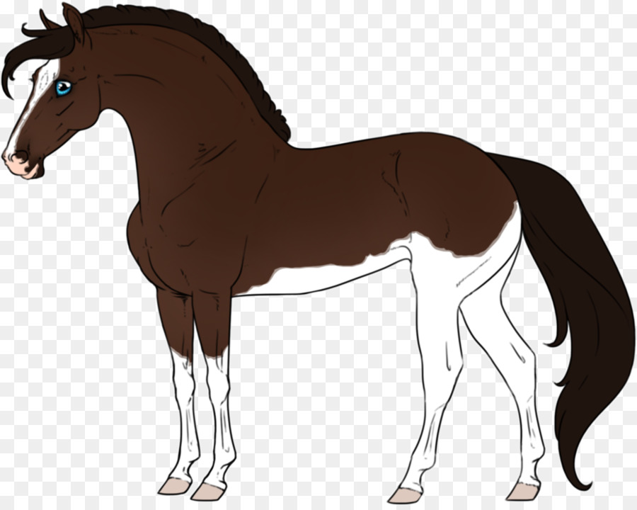 Cheval，équidé PNG