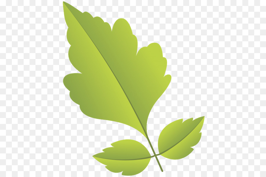 Feuilles Vertes，Nature PNG