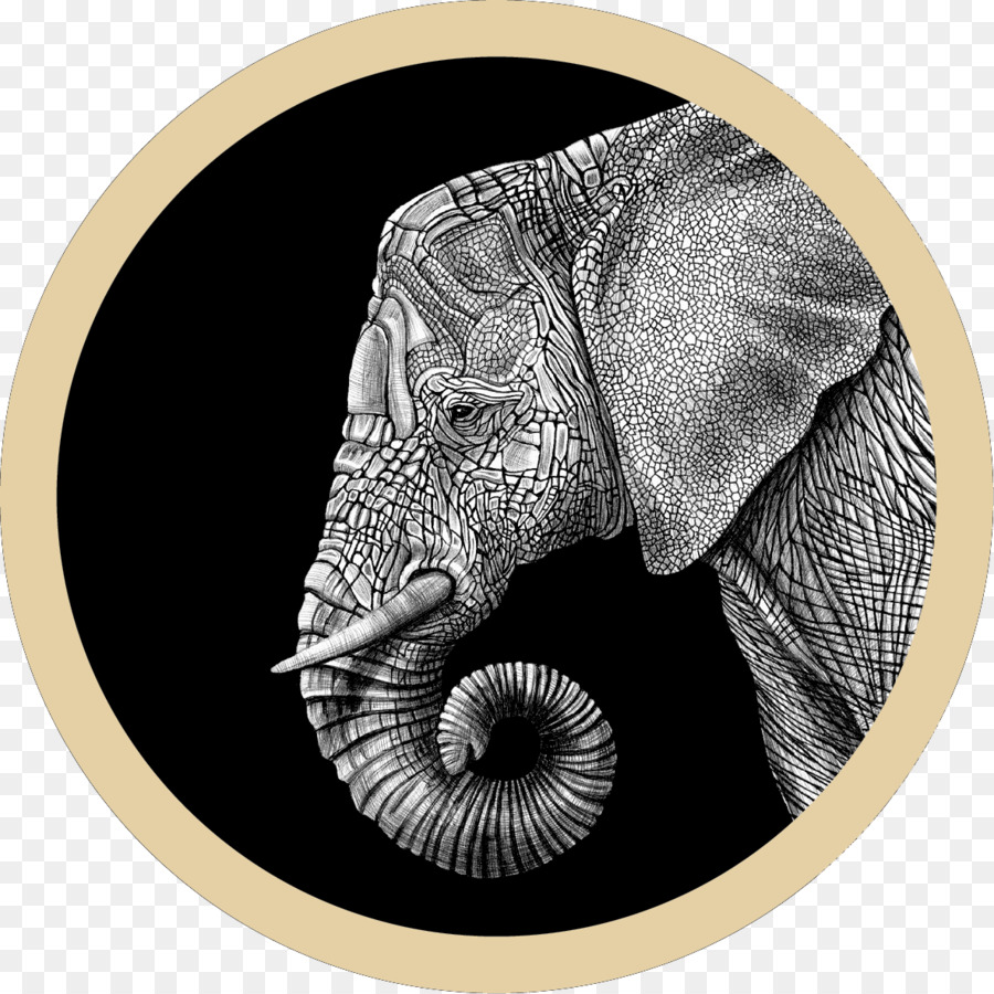 éléphant，Dessin PNG