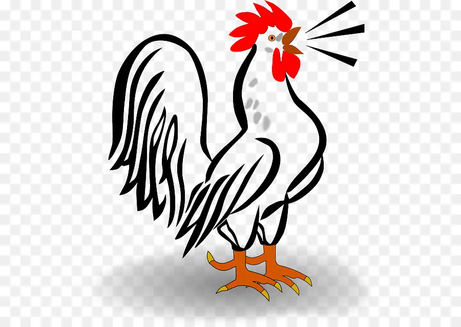 Coq，Blanc PNG