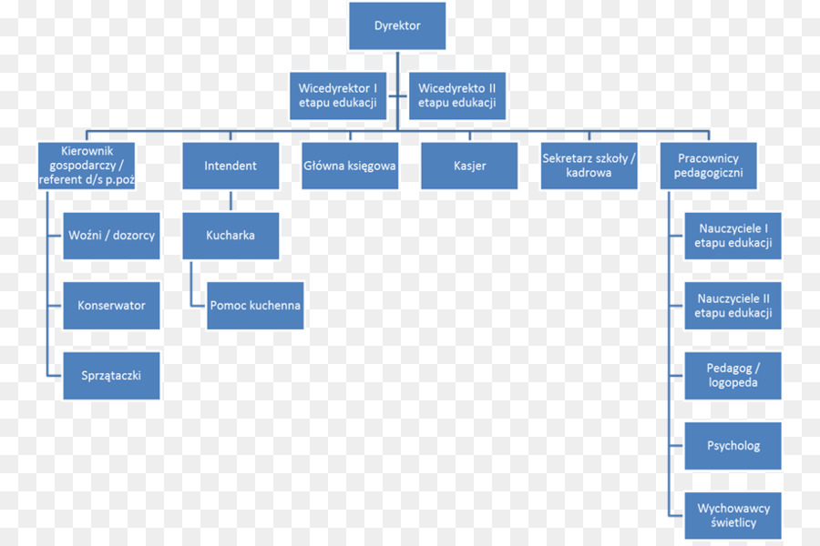 Organigramme，Structure PNG