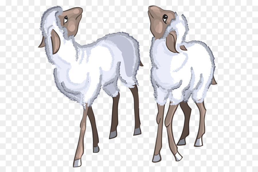 Mouton Blanc，Laine PNG