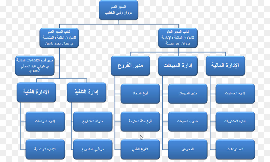 Organigramme，Structure PNG