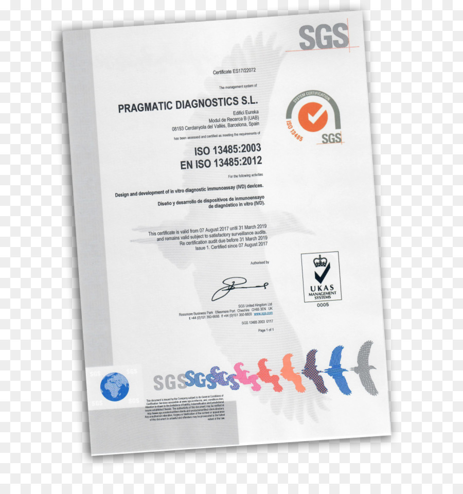 La Norme Iso 9000，La Norme Iso 9001 PNG