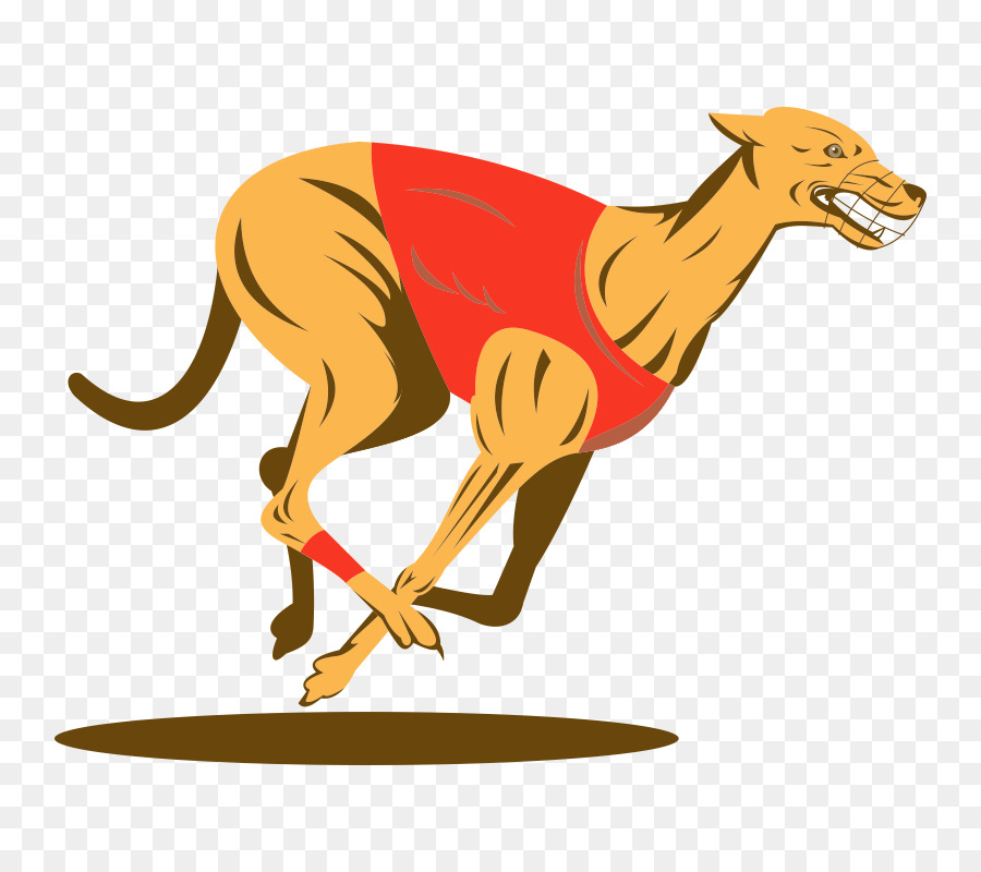 Canidés，Greyhound PNG