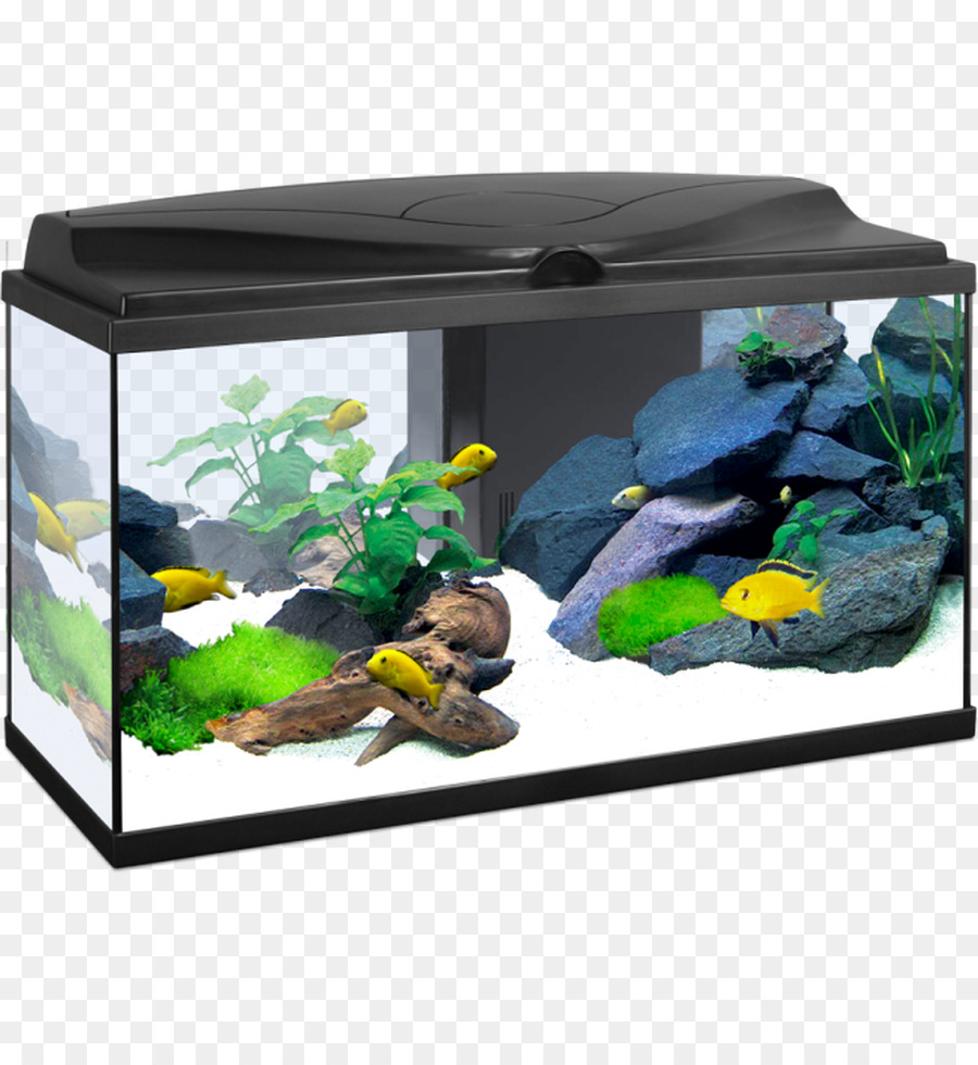 Aquarium，Cyan Aqua 20 PNG