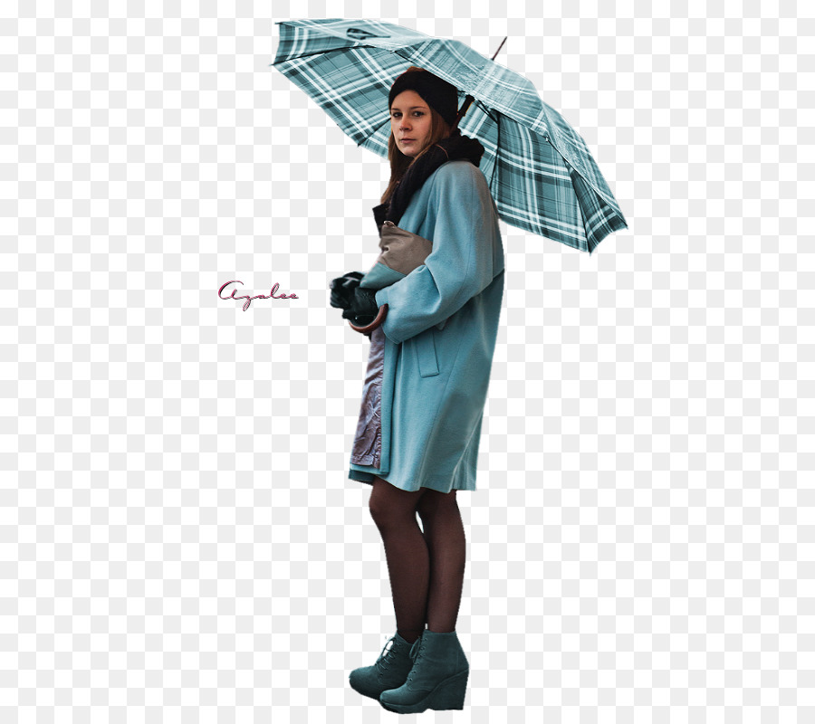 Parapluie，La Sarcelle D Hiver PNG