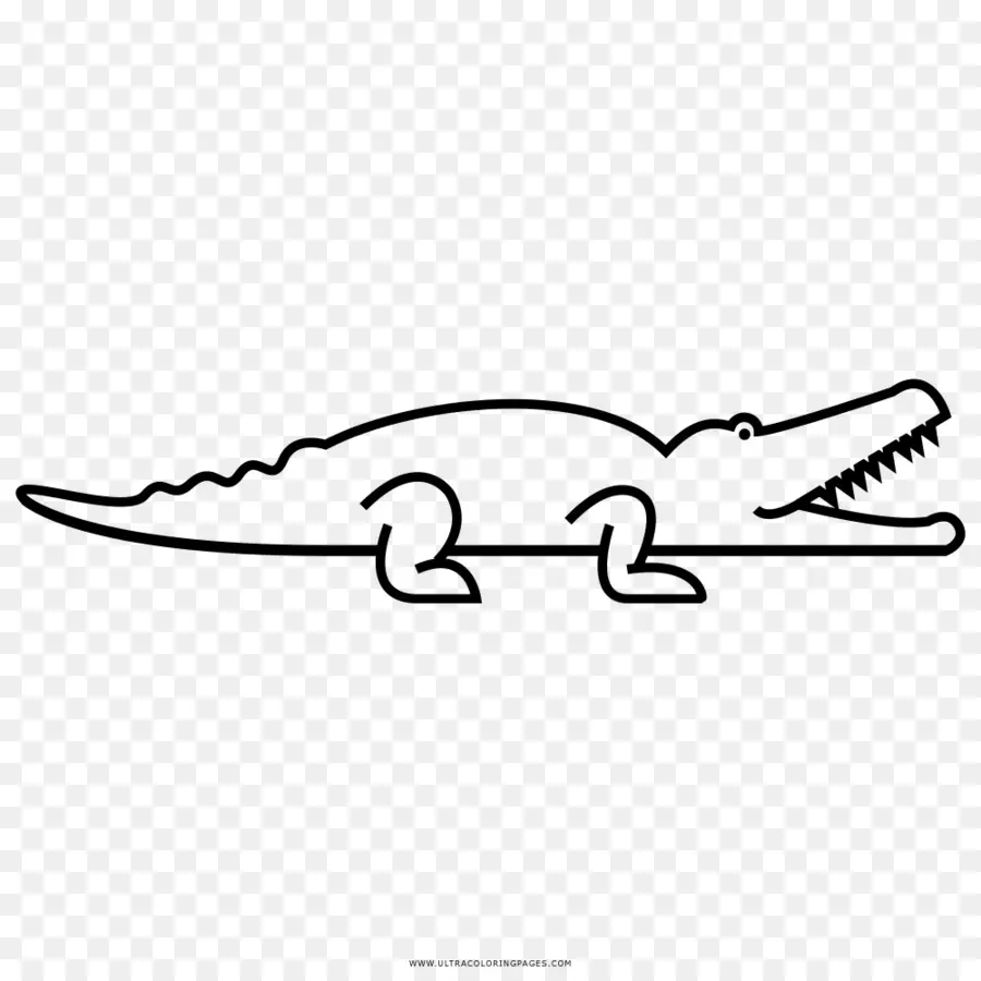 Crocodile，Livre De Coloriage PNG