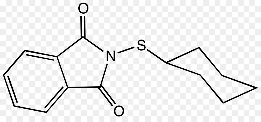 Acétylcystéine，La Cystéine PNG