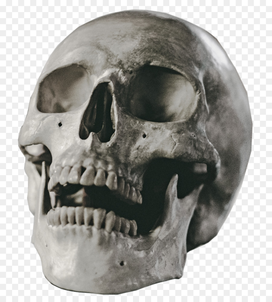 Masque De Crâne，Halloween PNG