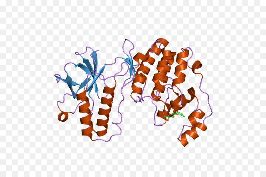 Structure Des Protéines，Molécule PNG