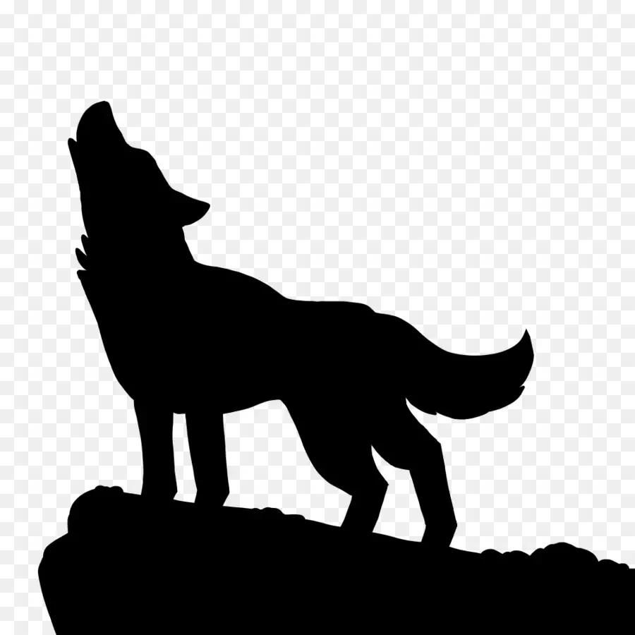 Silhouette De Loup Hurlant，Canin PNG