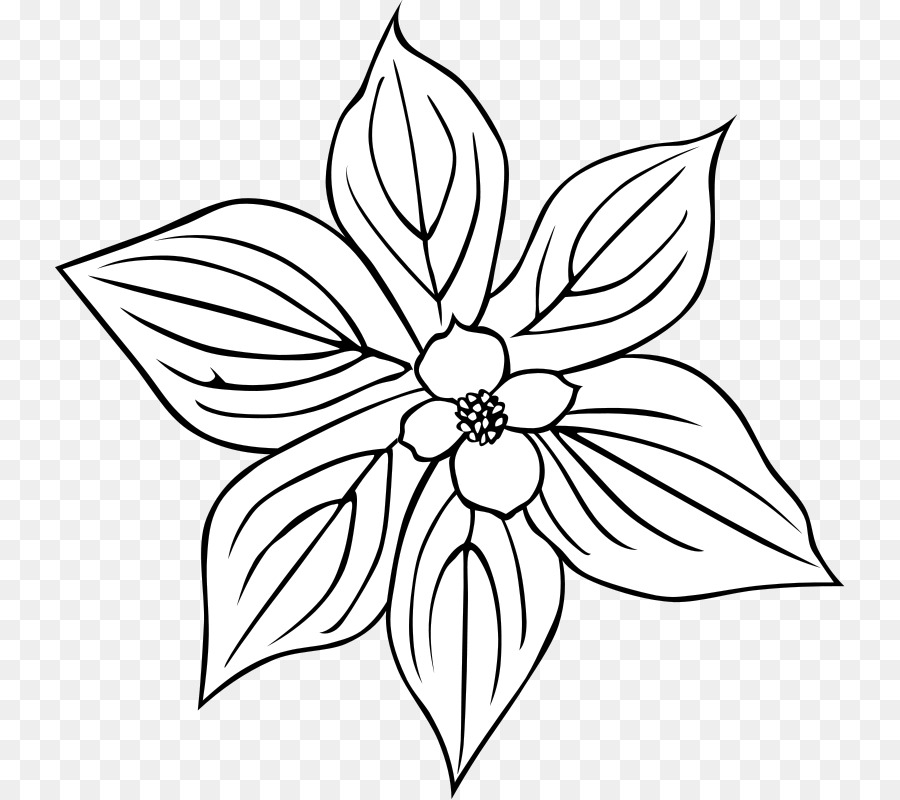 Feuille Verte Avec Fleur，Feuille PNG