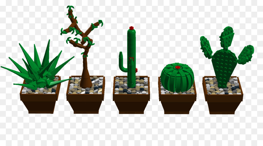 Plantes En Pot，Cactus PNG