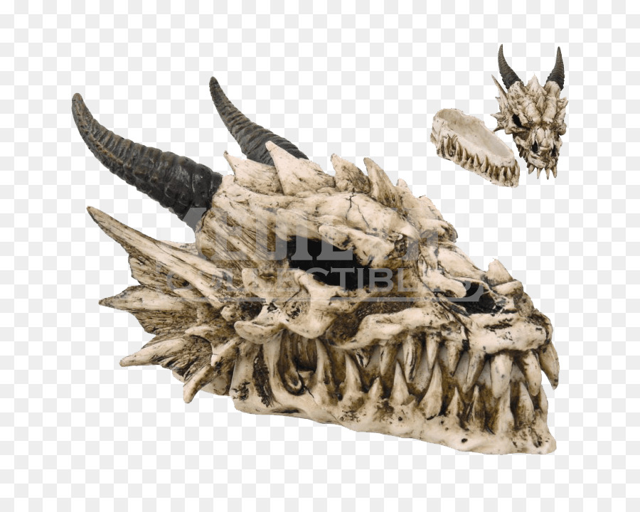 Crâne，Dragon PNG