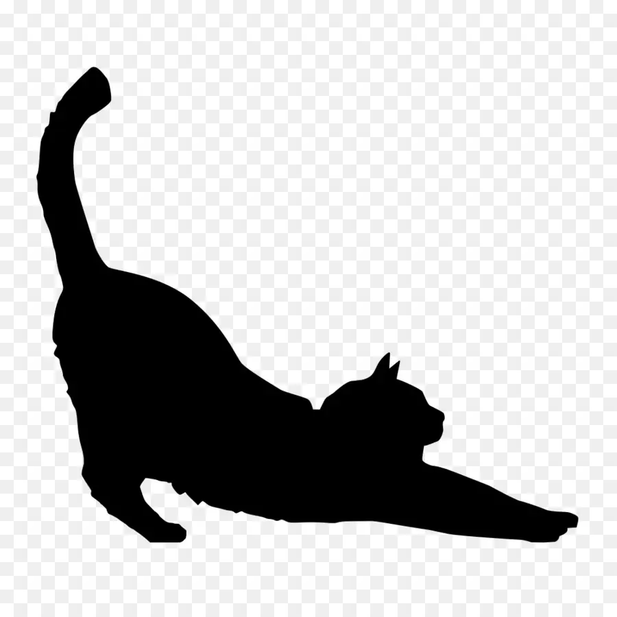 Silhouette De Chat Noir，étirage PNG