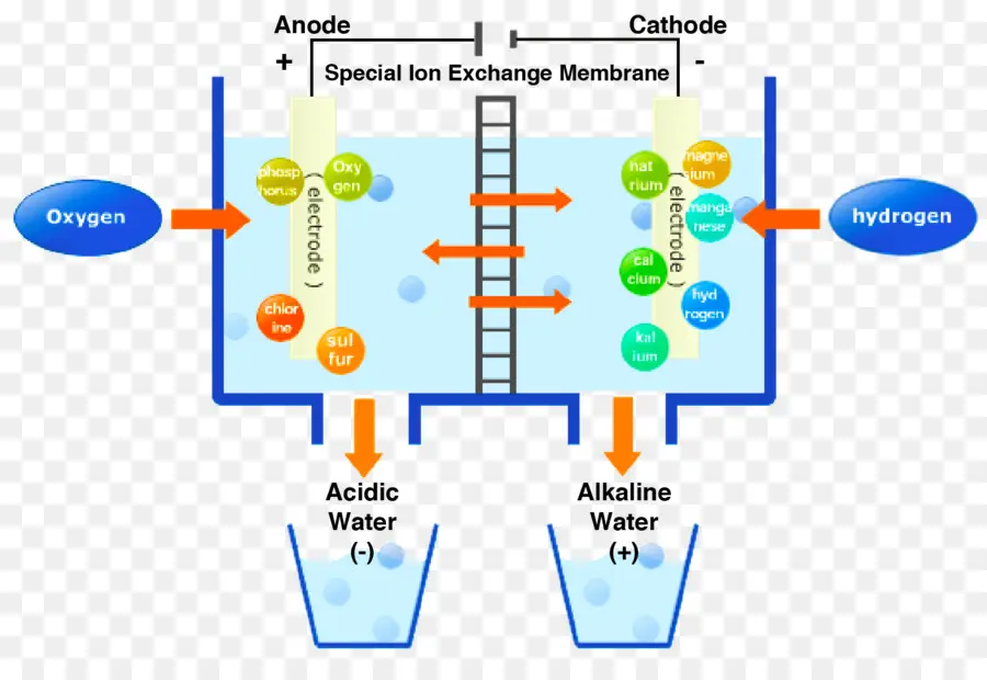 Schéma D'électrolyse，Électrolyse PNG