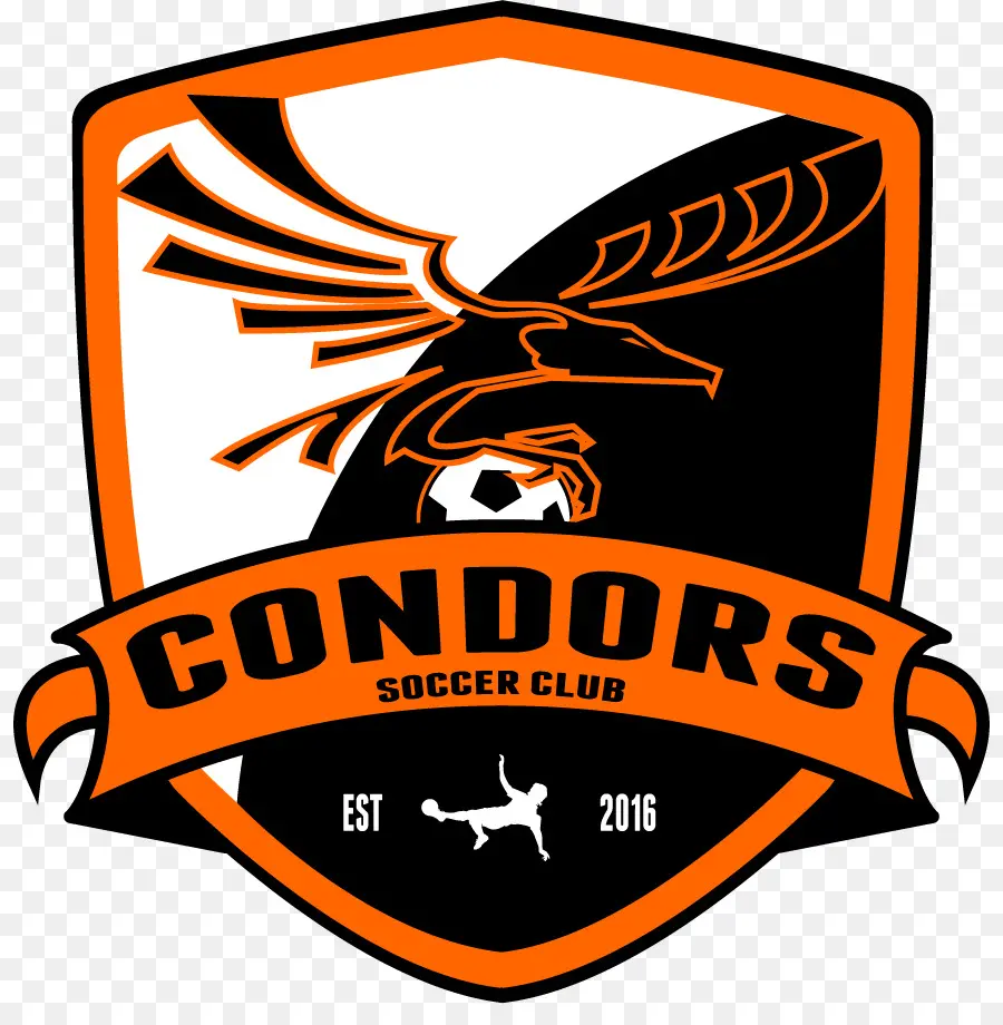 Les Condors Du Club De Soccer，L équipe De Football PNG