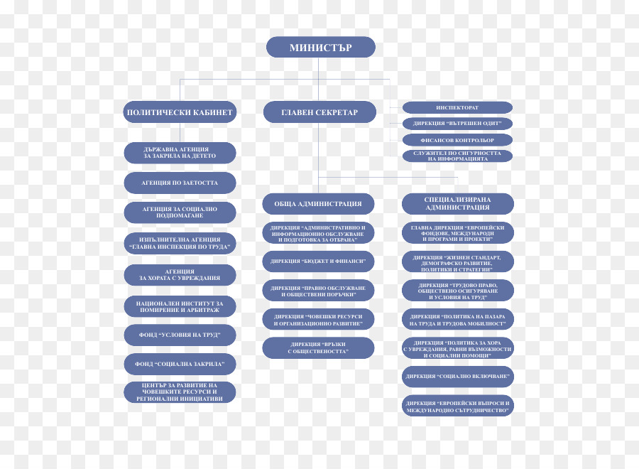 Organigramme，Structure PNG