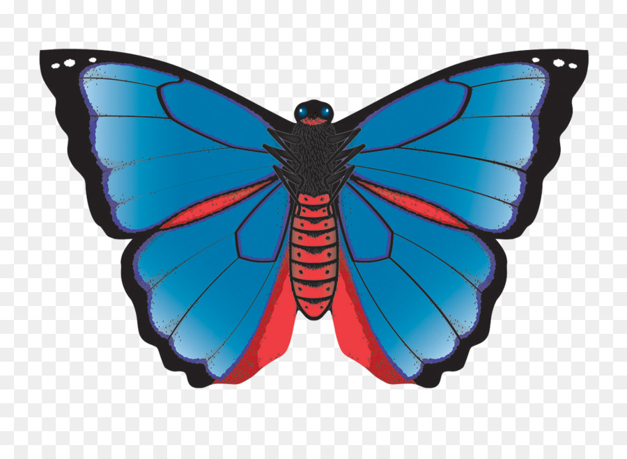 Papillon Coloré，Ailes PNG