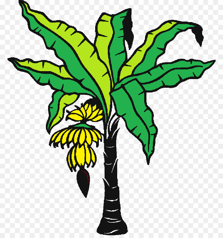 Banane Feuille De Bananier Feuille Png Banane Feuille De Bananier Feuille Transparentes Png Gratuit