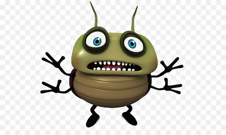 Insecte De Dessin Animé，Insecte PNG