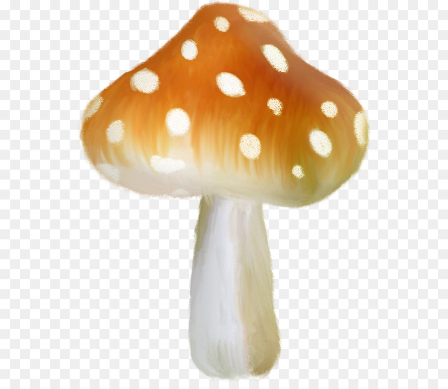 Champignons Modele De Couleur Rvb Dessin Anime Png Champignons Modele De Couleur Rvb Dessin Anime Transparentes Png Gratuit