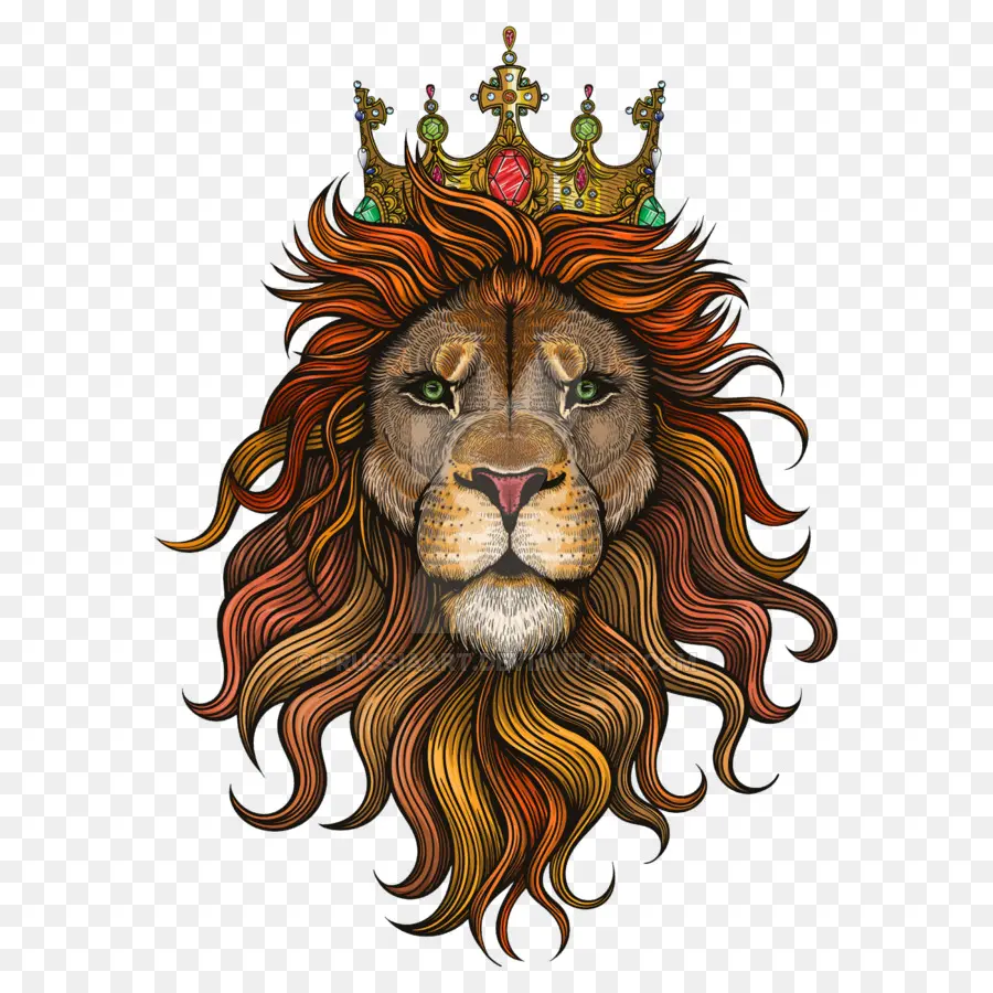 Lion Avec Couronne，Lion PNG