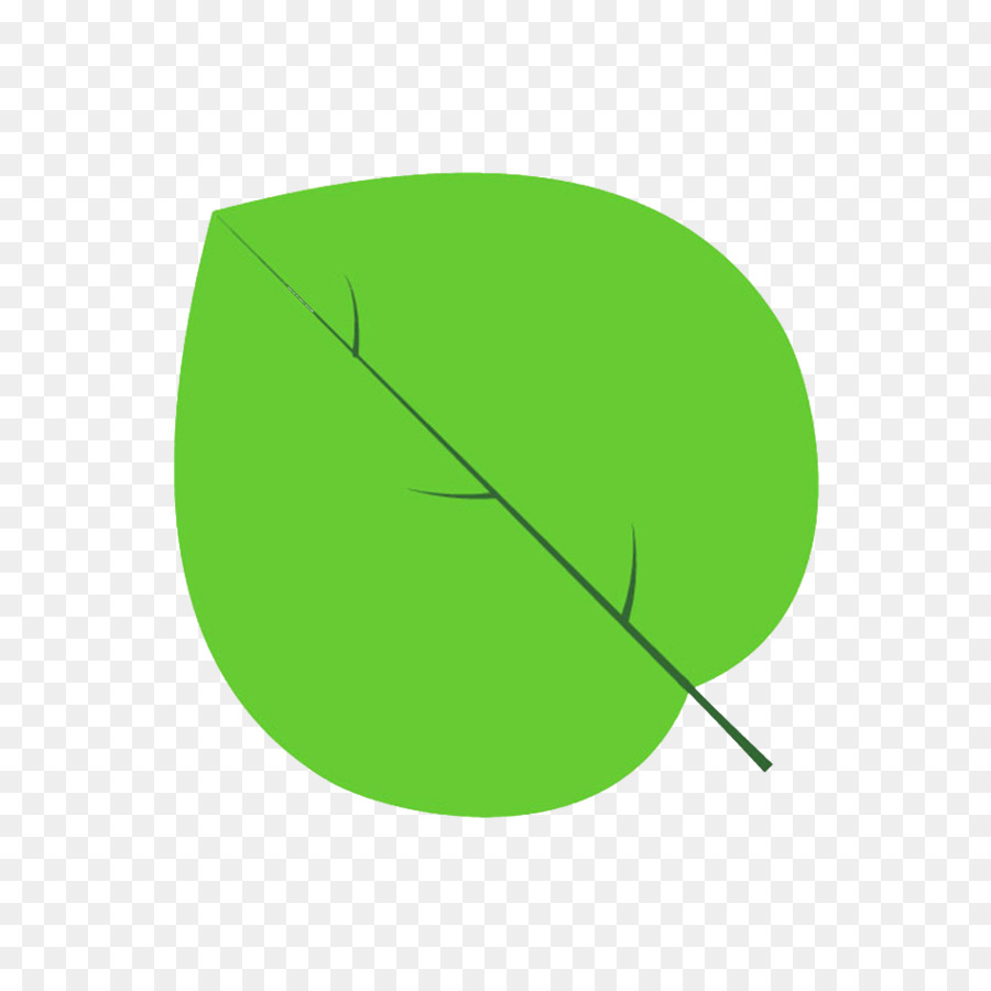 Cercle，Feuille PNG