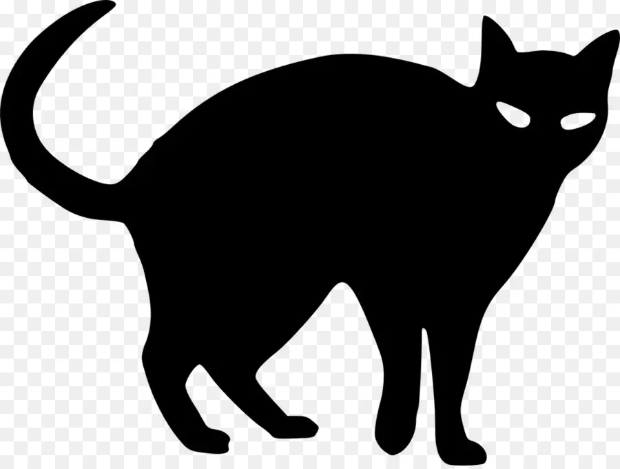 Chat，Noir PNG