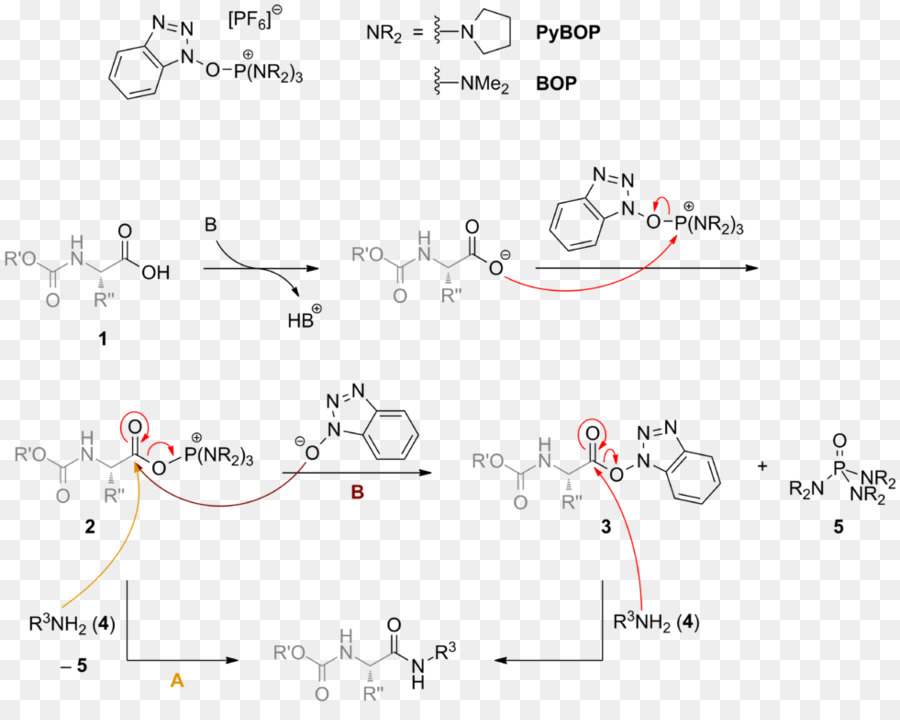 Diagramme Chimique，Chimie PNG