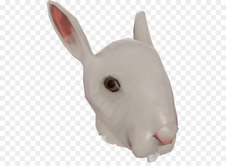 Lapin Blanc，Lapin PNG