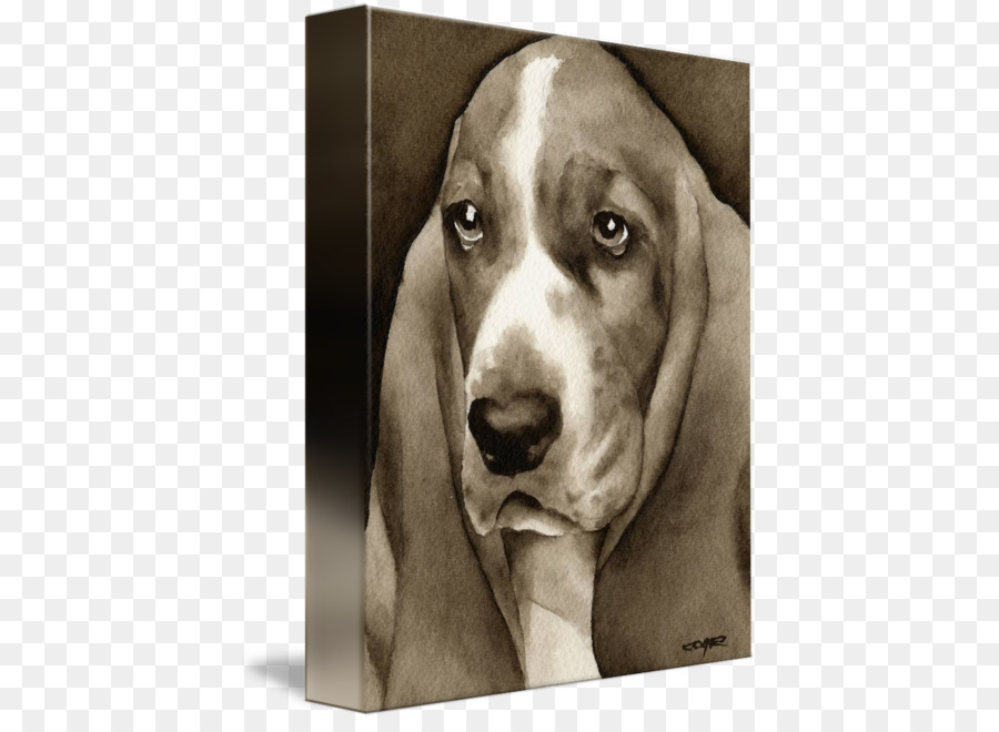 Portrait De Chien，Animal De Compagnie PNG