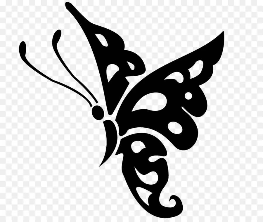 Papillon，Insecte PNG