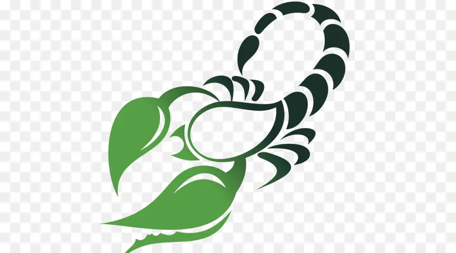 Scorpion，Insecte PNG